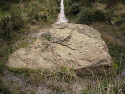 Verwood Megalith